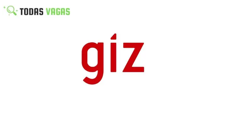 Vaga para (01) Consultor Sênior em Gestão de Riscos de Segurança na GIZ