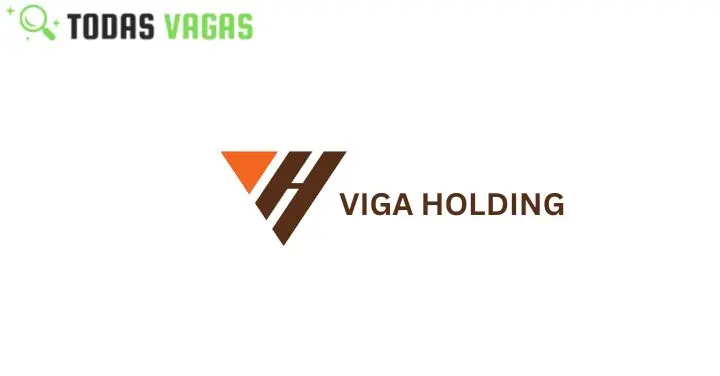 Vaga para (01) Gestor (a) de Redes Sociais - Maputo na VIGA Holding Lda