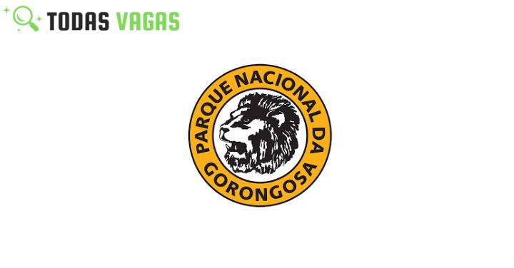 Parque Nacional da Gorongosa está a recrutar (01) Gestor(a) Júnior de Projecto – Projecto Piloto de Carvão Vegetal para Sofala.