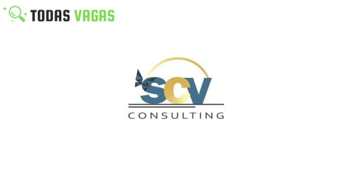 SCV Consulting está a recrutar para o seu Cliente (01) Contabilista para Cidade de Maputo.