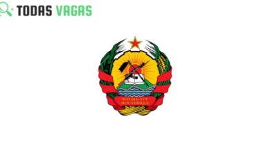 Vagas para (33) Profissionais de Saúde (Técnico Superior de Saúde N1; Técnico de Saúde; Agente de Serviço e Agente Técnico)